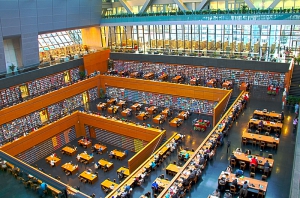 Knihovny elektronické versus knihovny kamenné