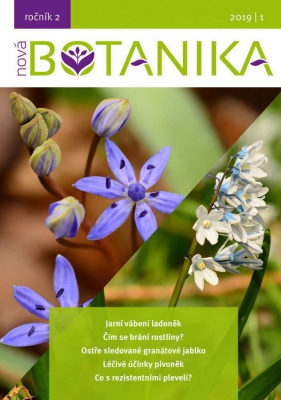 Nová Botanika