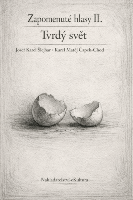 Zapomenuté hlasy II.: Tvrdý svět