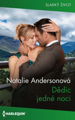 Dědic jedné noci