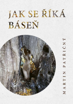 Jak se říká kniha