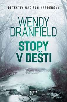 Stopy v dešti