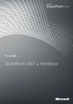 SharePoint 2007 a workflow