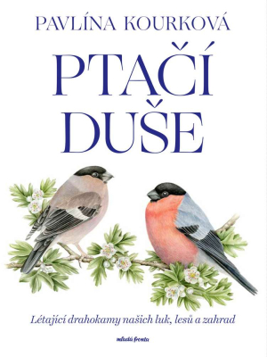 Ptačí duše