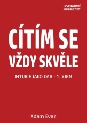Cítím se vždy skvěle, Intuice jako dar 1. Vjem