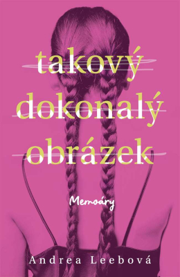 Takový dokonalý obrázek